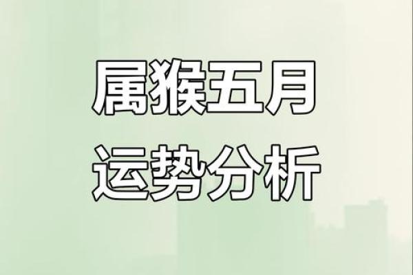 猴运势全面解读：事业、感情与财运预测