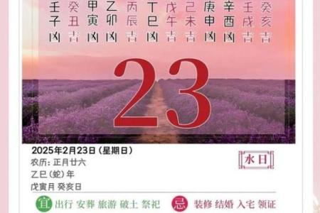 万年历轻松算，穿越时空的智慧指南