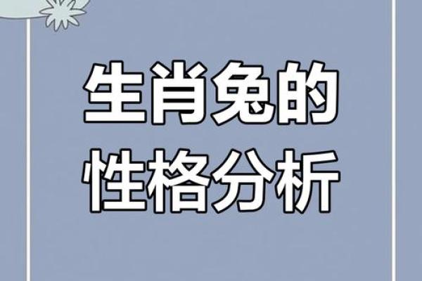 男属兔与女属马的性格互补性探讨 男属兔与女属马的性格互补性探讨