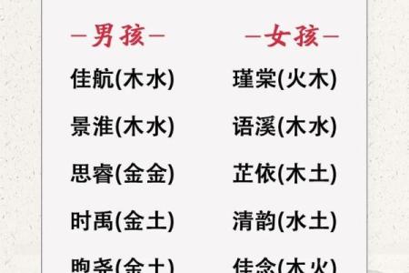 猪宝宝命名宝典：如何根据五行选择名字
