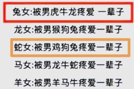 男属兔与女属马的性格互补性探讨