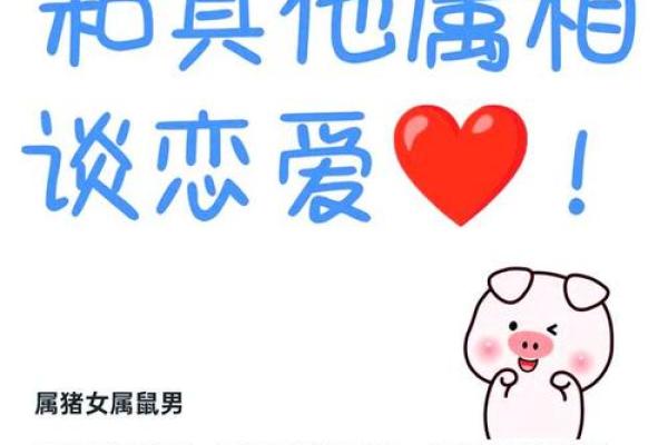 男鼠女猪是否合适的婚配解析 男鼠女猪是否合适的婚配解析