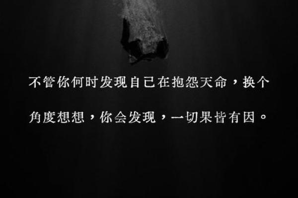 农历，这一天注定不平凡
