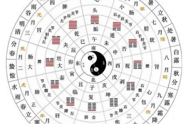 揭秘农历：它究竟是哪个月？