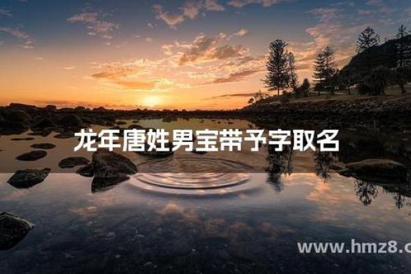 从古至今，予字的象征与影响