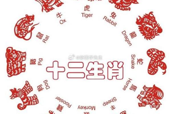 生肖运程分析：哪些生肖迎来好运，哪些需谨慎