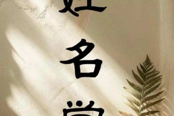 名字打分测试，揭开姓名背后的命运密码
