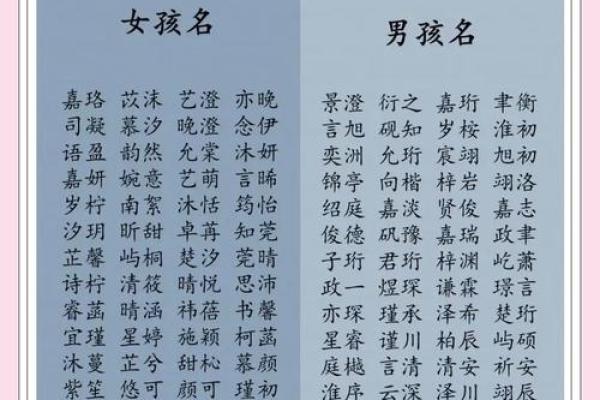 全国名字查询：从姓名到人生的深度解析