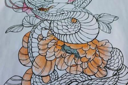 兔与蛇的婚姻契合度：真的是天作之合吗