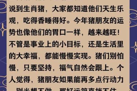 生肖运程大揭秘：属鼠到属猪的运势详解