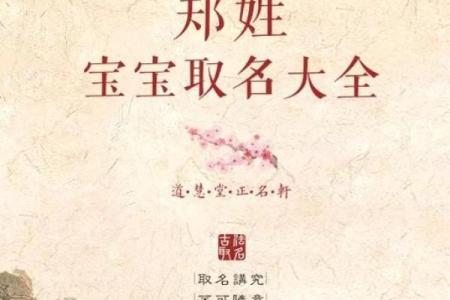 郑姓男宝宝命名指南：传承与现代感并存的名字灵感