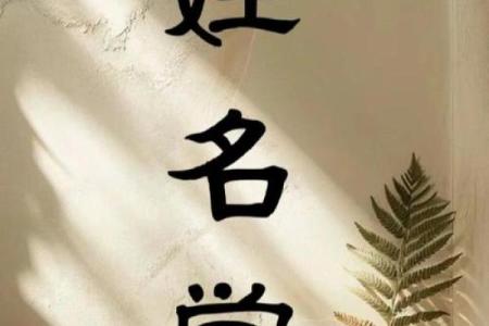名字打分测试，揭开姓名背后的命运密码
