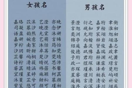 全国名字查询：从姓名到人生的深度解析