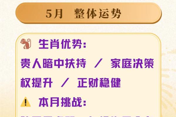 属猴人本命年如何应对生活中的不确定性 属猴人本命年如何应对生活中的不确定性