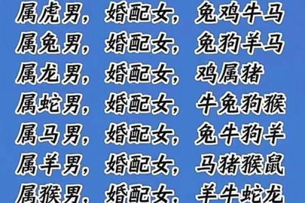 女龙男鼠的婚配究竟合适吗？解析性格与命理的相容性
