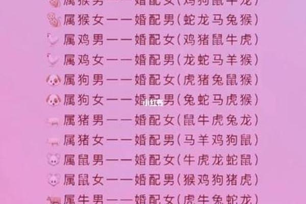 女龙男鼠的婚配究竟合适吗？解析性格与命理的相容性
