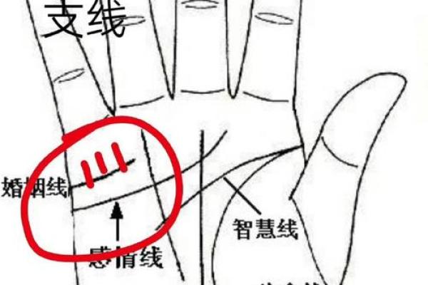 揭秘:哪些手相暗示你有富贵命 揭秘:哪些手相暗示你有富贵命