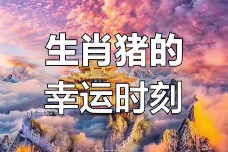 男猪和女牛是否是理想配对？解析属相搭配的可能性与挑战