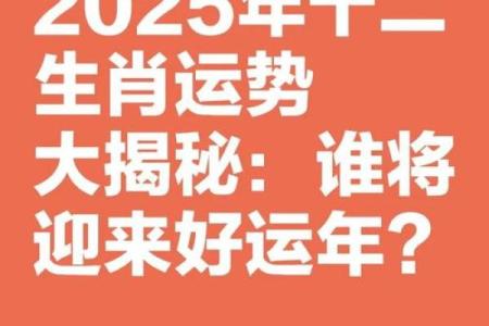生肖运程大揭秘：挑战与机遇并存的年份