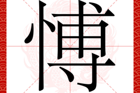博字在公司命名中的象征意义与应用技巧