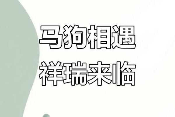 狗与马性格互补,搭配生活是否理想 狗与马性格互补,搭配生活是否理想