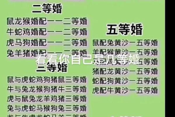 属马男和属马女的爱情配对解析:相互吸引还是挑战重重 属马男和属马女的爱情配对解析:相互吸引还是挑战重重
