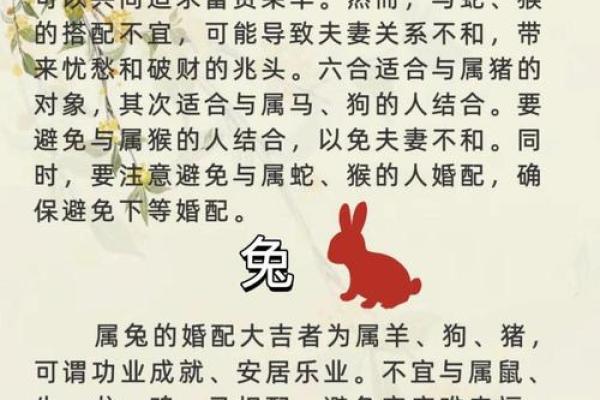 属马男和属马女的爱情配对解析:相互吸引还是挑战重重 属马男和属马女的爱情配对解析:相互吸引还是挑战重重