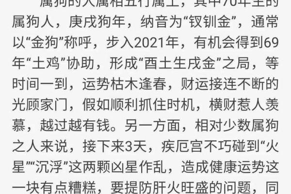根据生肖分析十年运程,揭开未来的命运之谜 根据生肖分析十年运程,揭开未来的命运之谜