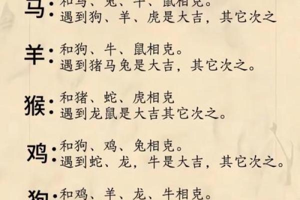 属鼠的本命年该如何调整生活方式 属鼠的本命年该如何调整生活方式