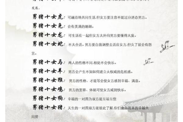 属猪与属龙的婚配分析:两者是否合适? 属猪与属龙的婚配分析:两者是否合适?