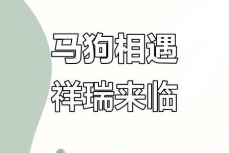 狗与马性格互补，搭配生活是否理想