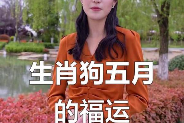属狗每月运势大揭秘:如何把握每个关键月份的运气 属狗每月运势大揭秘:如何把握每个关键月份的运气