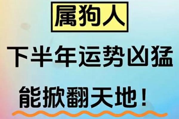 属狗每月运势大揭秘:如何把握每个关键月份的运气 属狗每月运势大揭秘:如何把握每个关键月份的运气