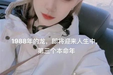 龙女本命年的事业稳定性分析