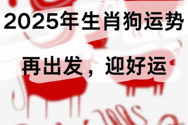 属狗运势预测:如何把握好运迎接挑战 属狗运势预测:如何把握好运迎接挑战