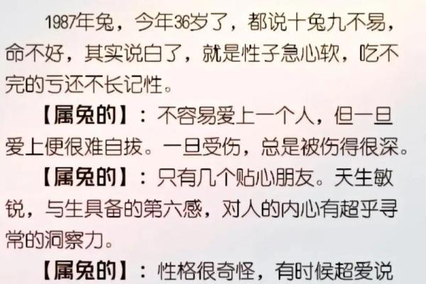 兔男本命年如何通过努力实现事业成功 兔男本命年如何通过努力实现事业成功
