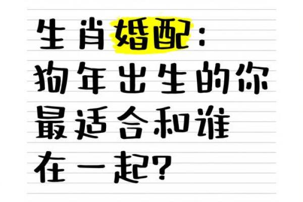 属马与属狗的性格互补吗 婚配合适度深度探讨 属马与属狗的性格互补吗 婚配合适度深度探讨