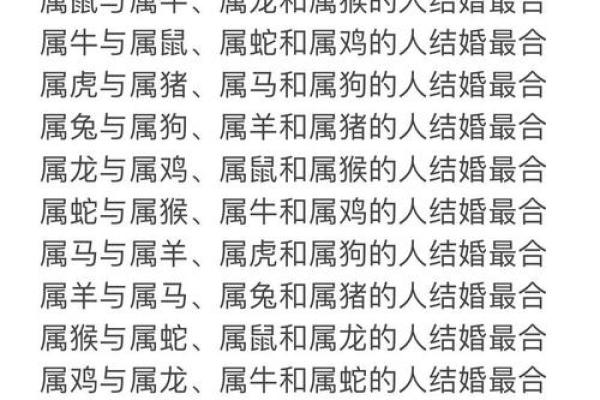 属马与属狗的性格互补吗 婚配合适度深度探讨 属马与属狗的性格互补吗 婚配合适度深度探讨