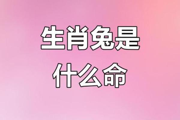 被称为兔命的人,你的命运特点是什么? 被称为兔命的人,你的命运特点是什么?