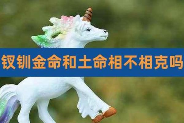 叉钏金命的五行属性及其对人生的影响 叉钏金命的五行属性及其对人生的影响