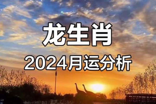 属龙人运势走势:逐月运程详解 属龙人运势走势:逐月运程详解