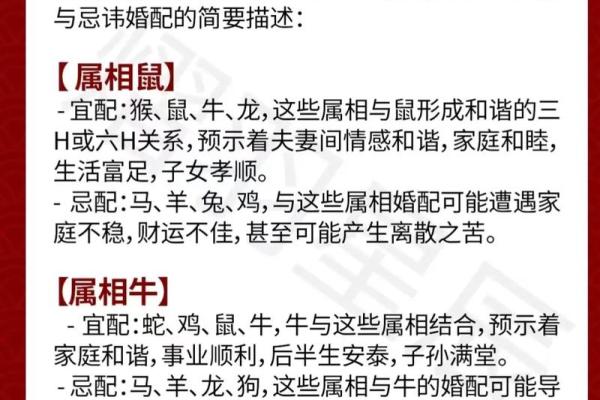 属猴男与哪些属相最匹配,揭秘最佳婚配组合 属猴男与哪些属相最匹配,揭秘最佳婚配组合