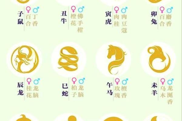 属什么生肖?全面解析你的生肖年龄 属什么生肖?全面解析你的生肖年龄