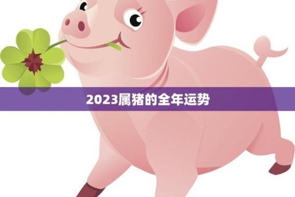 猪年各月运势变化与指导 猪年各月运势变化与指导