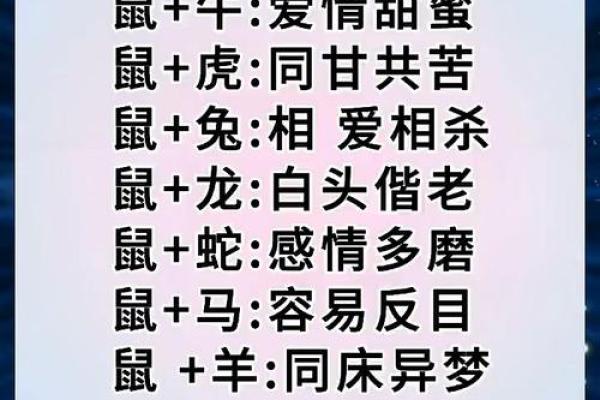 属鼠本命年如何在家庭中找到支持 属鼠本命年如何在家庭中找到支持