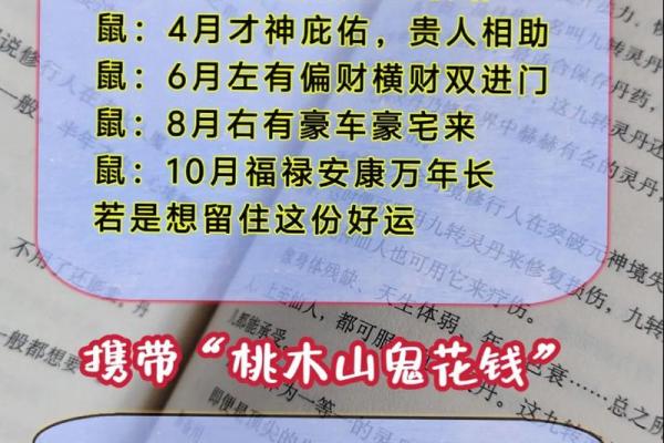 属鼠本命年如何在家庭中找到支持 属鼠本命年如何在家庭中找到支持