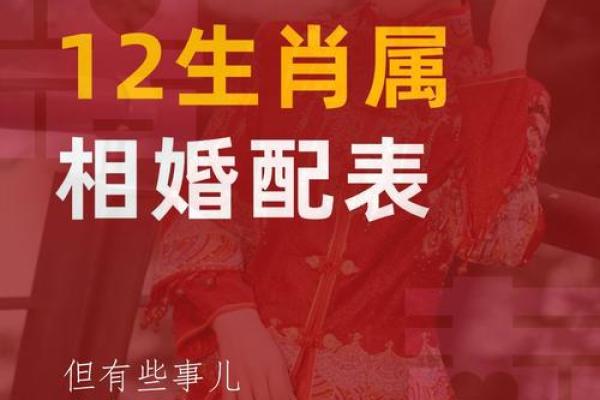 属鼠与属蛇的配对如何 生肖相合与相克分析 属鼠与属蛇的配对如何 生肖相合与相克分析