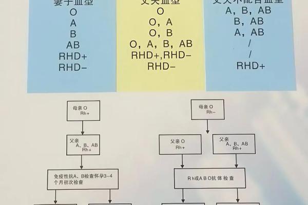 血型配对能影响感情稳定性吗 血型配对能影响感情稳定性吗