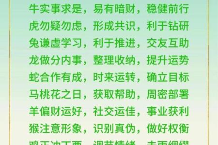 属狗运势预测：如何把握好运迎接挑战