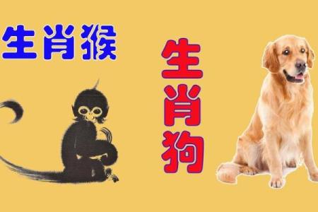 分析冲锋陷阵与生肖性格的关系